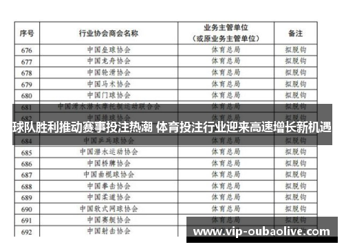 球队胜利推动赛事投注热潮 体育投注行业迎来高速增长新机遇