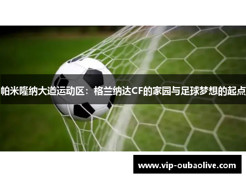帕米隆纳大道运动区：格兰纳达CF的家园与足球梦想的起点