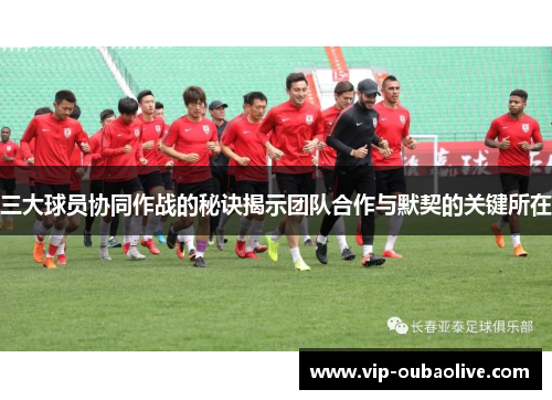 三大球员协同作战的秘诀揭示团队合作与默契的关键所在