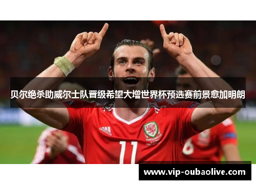 贝尔绝杀助威尔士队晋级希望大增世界杯预选赛前景愈加明朗