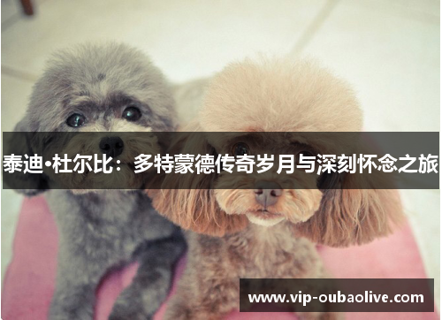 泰迪·杜尔比：多特蒙德传奇岁月与深刻怀念之旅