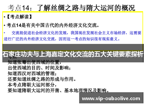 石家庄功夫与上海嘉定文化交流的五大关键要素探析