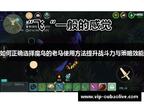 如何正确选择魔鸟的老马使用方法提升战斗力与策略效能
